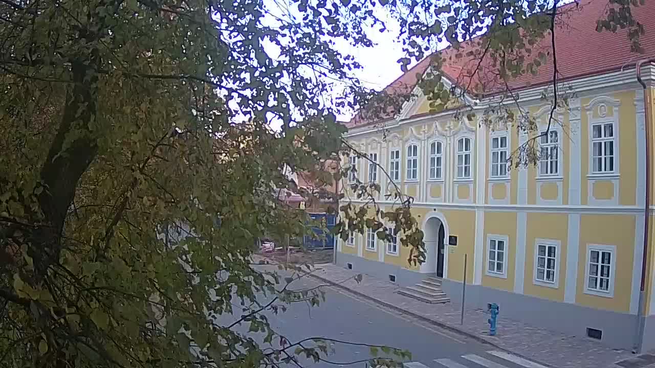 Live webcam Petrinja central park – after the earthquake