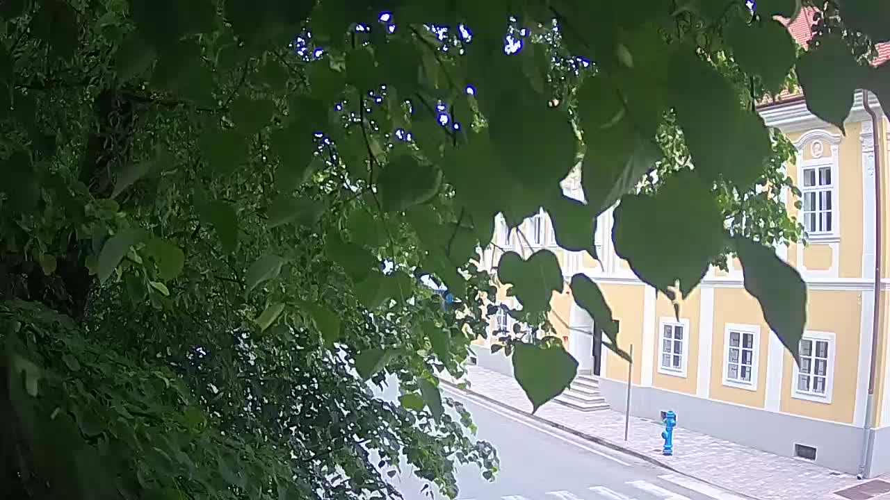 Live webcam parco Petrinja – dopo il terremoto