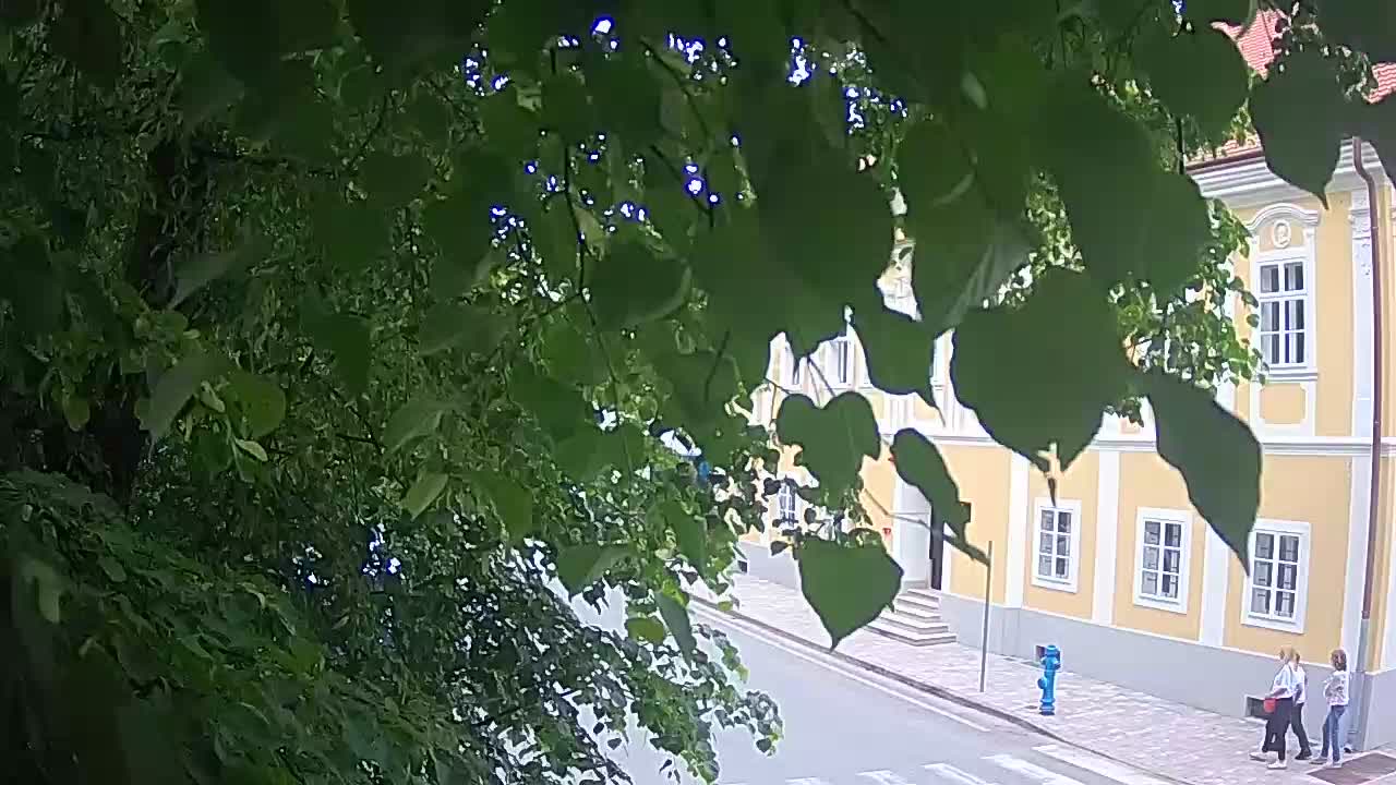 Webcam en direct du parc Petrinja – après le tremblement de terre