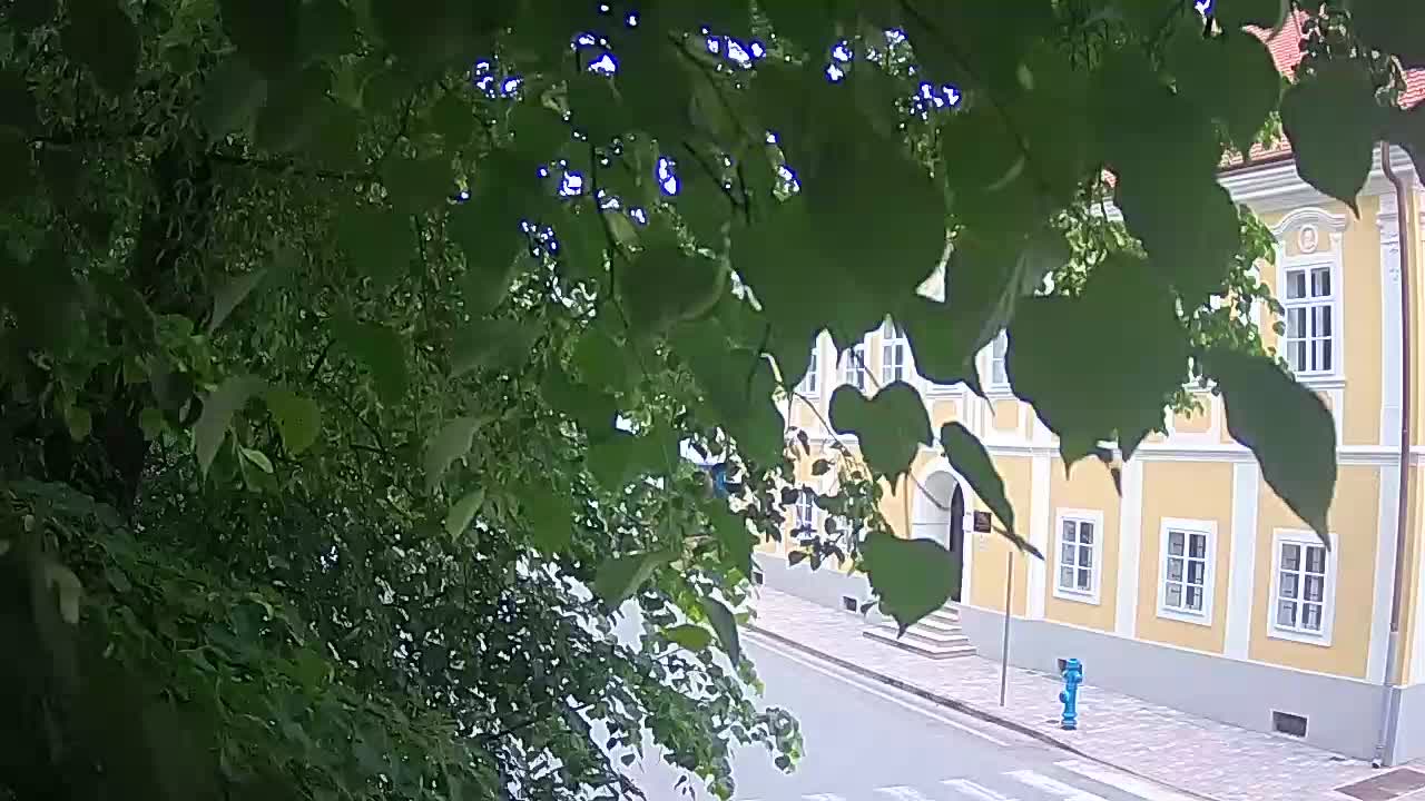 Webcam en direct du parc Petrinja – après le tremblement de terre