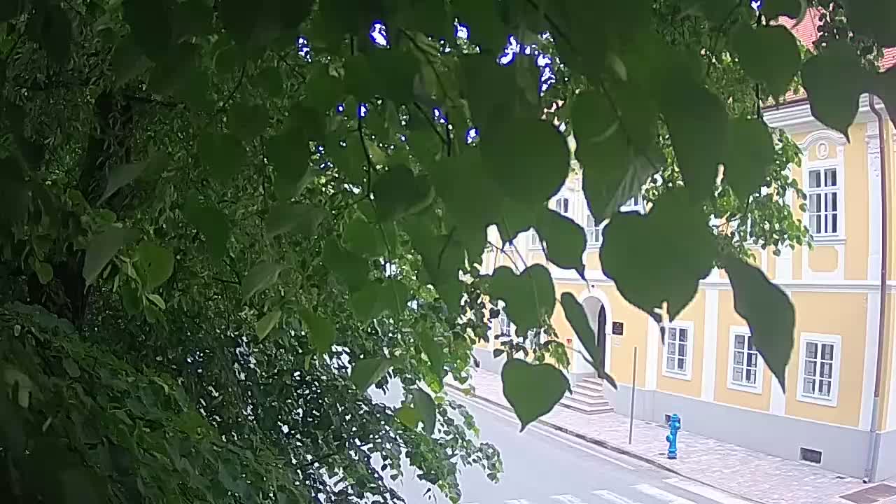 Spletna kamera v živo Petrinja centralni park – po potresu