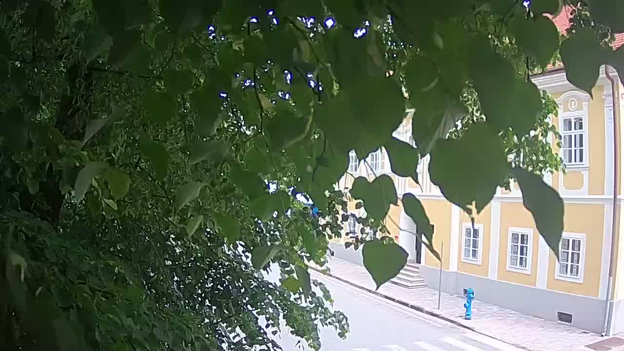 Webcam en direct du parc Petrinja – après le tremblement de terre