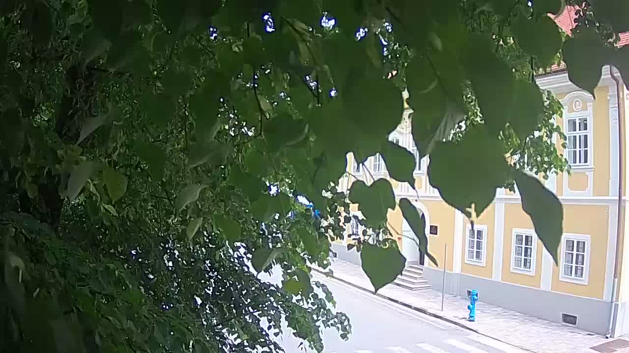 Live webcam parco Petrinja – dopo il terremoto