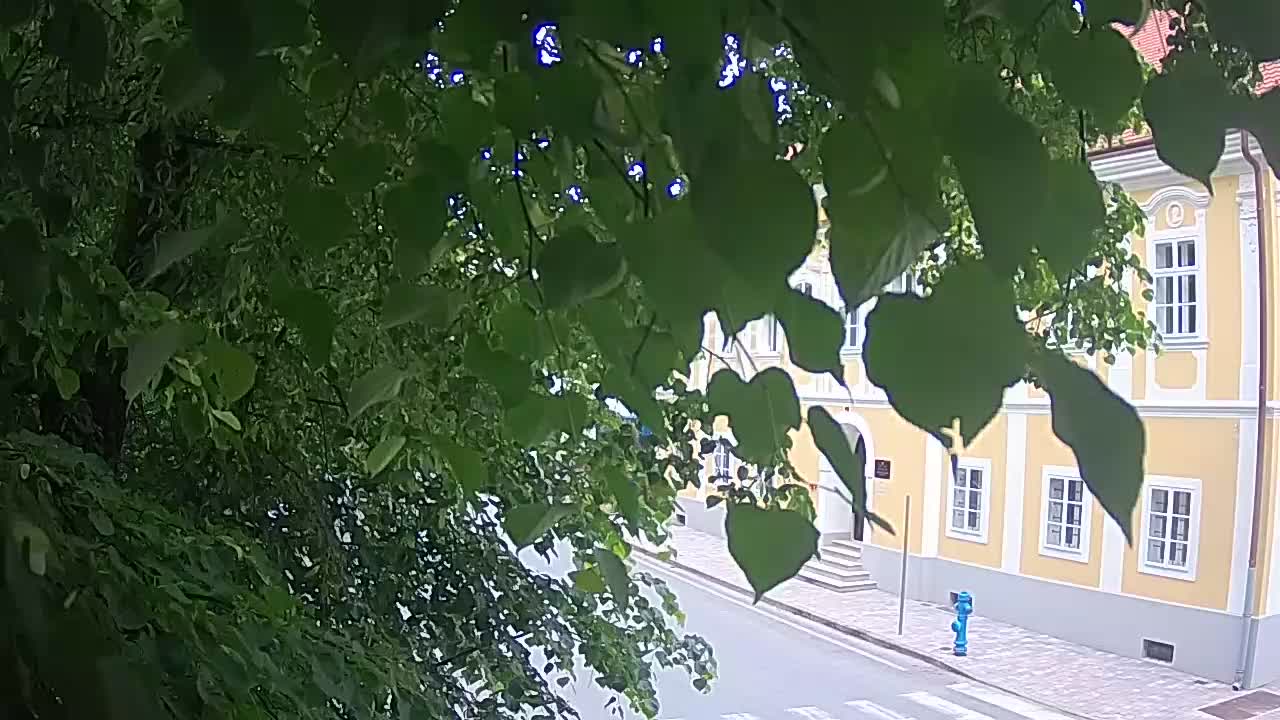 Webcam en vivo parque Petrinja – después del terremoto