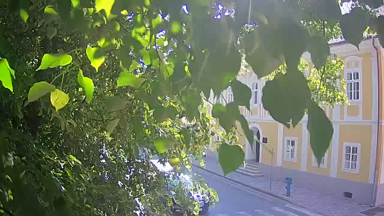 Webcam en direct du parc Petrinja – après le tremblement de terre