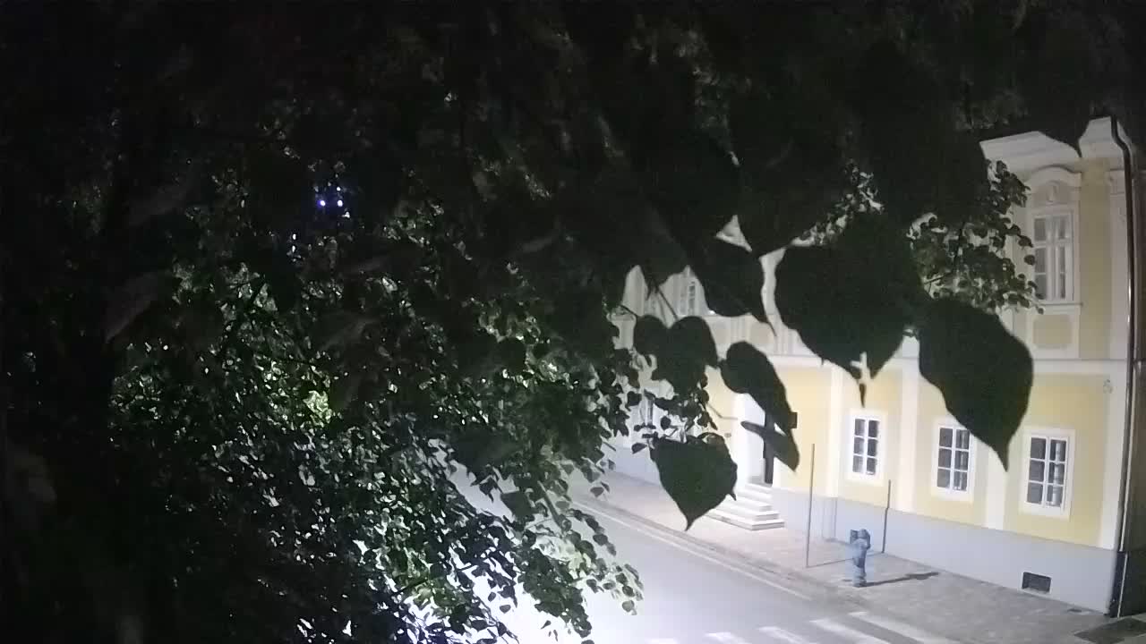 Spletna kamera v živo Petrinja centralni park – po potresu