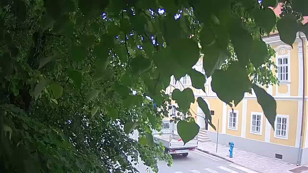 Live webcam parco Petrinja – dopo il terremoto