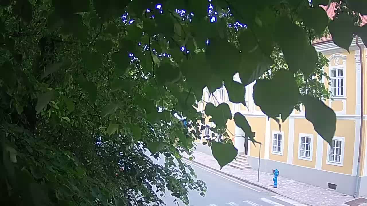Webcam en vivo parque Petrinja – después del terremoto