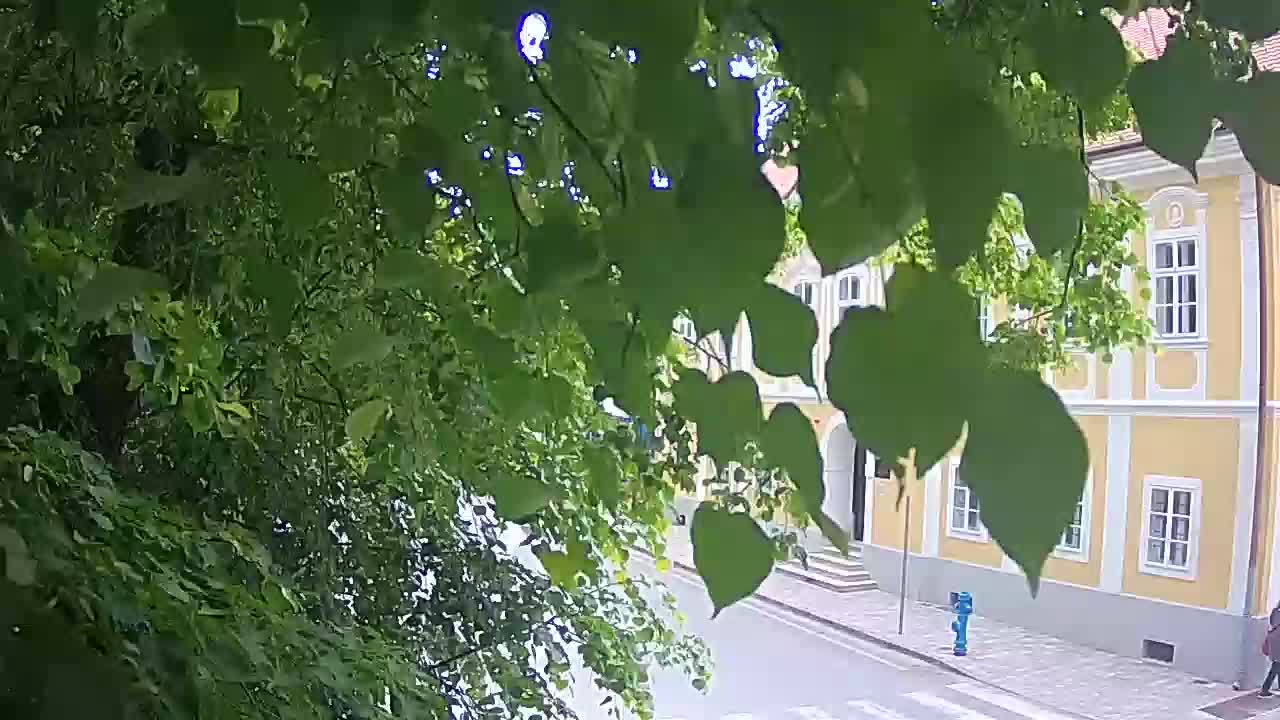 Live webcam parco Petrinja – dopo il terremoto
