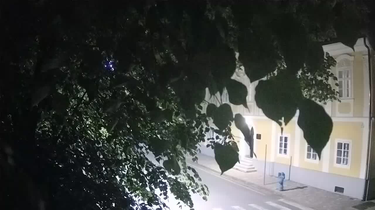 Spletna kamera v živo Petrinja centralni park – po potresu