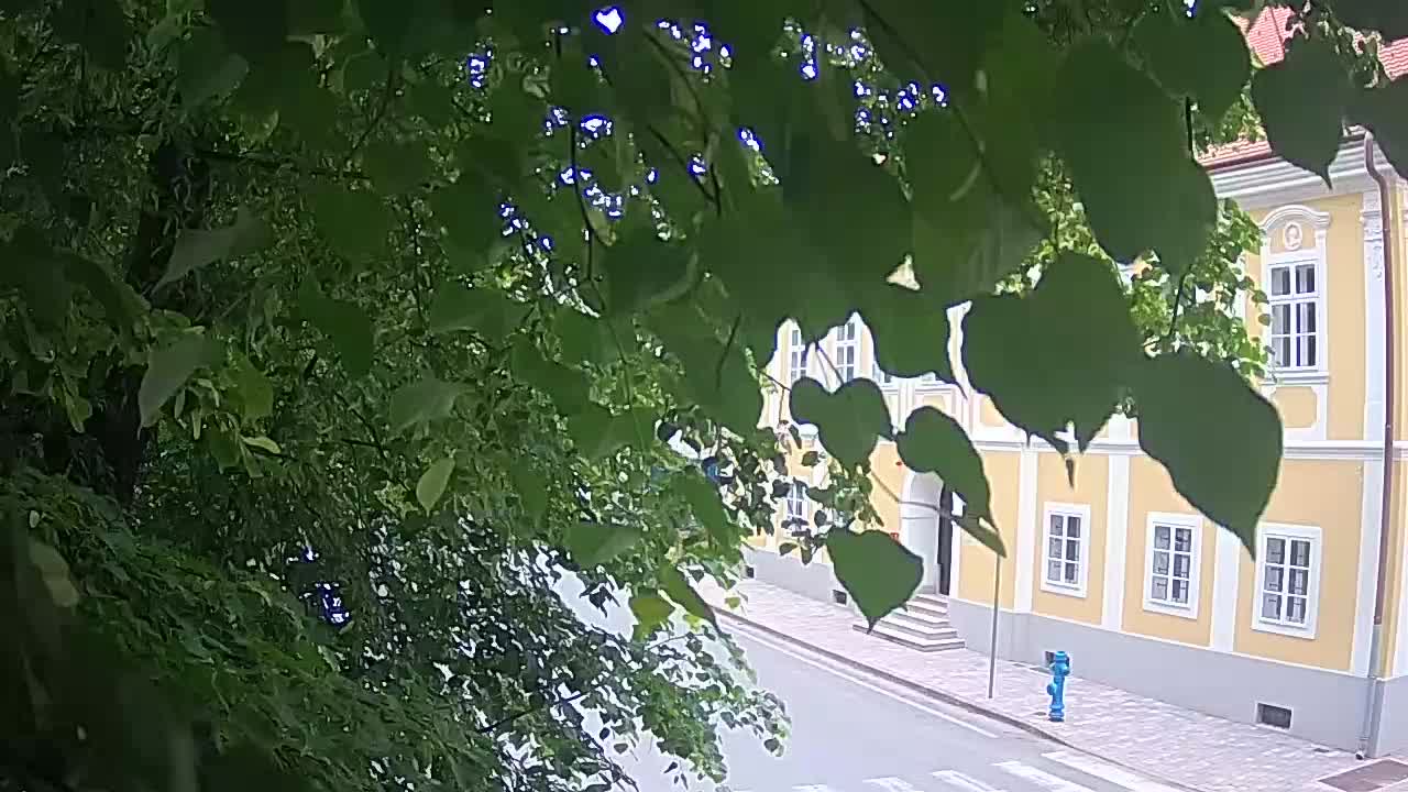 Web kamera uživo Petrinja centralni park – nakon potresa