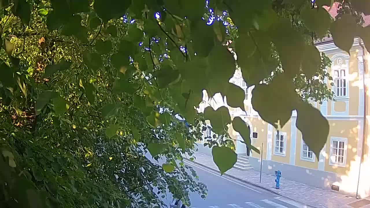 Webcam en direct du parc Petrinja – après le tremblement de terre