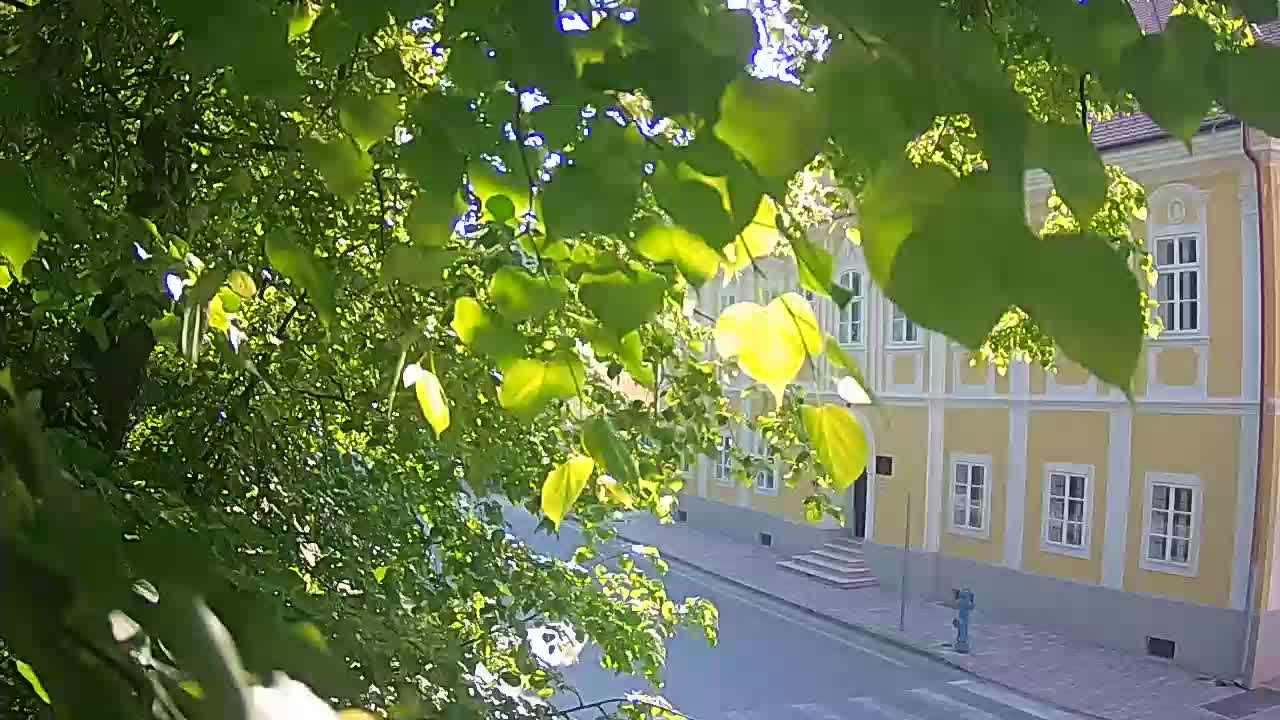 Webcam en vivo parque Petrinja – después del terremoto