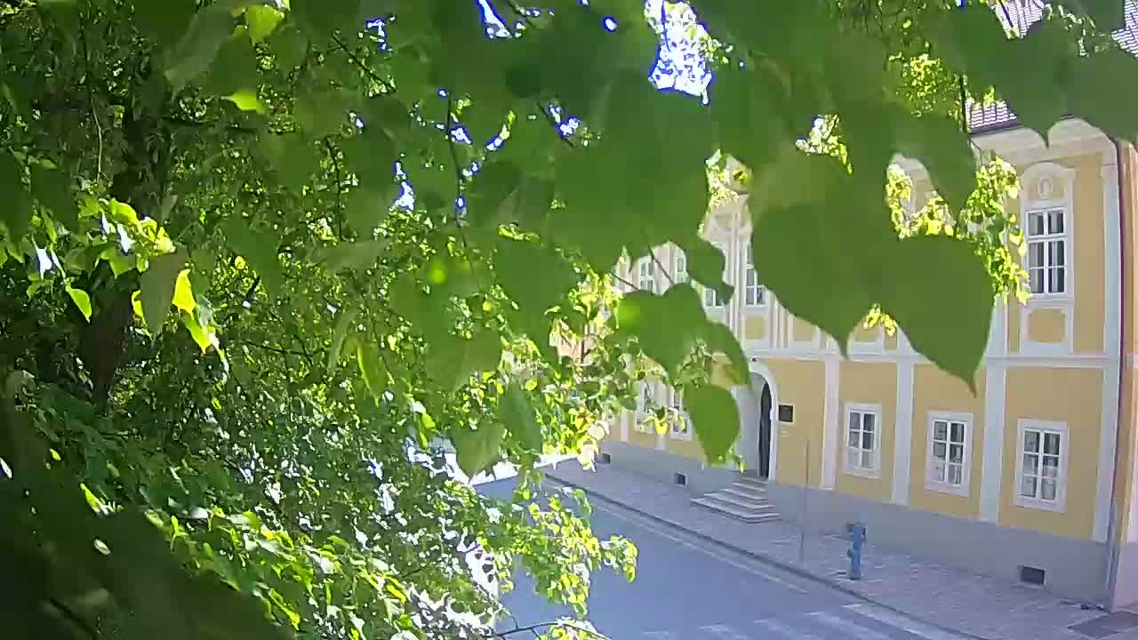 Webcam en direct du parc Petrinja – après le tremblement de terre
