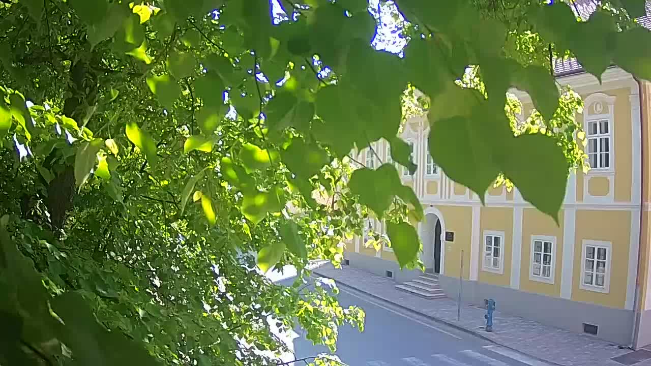 Live webcam Petrinja central park – after the earthquake
