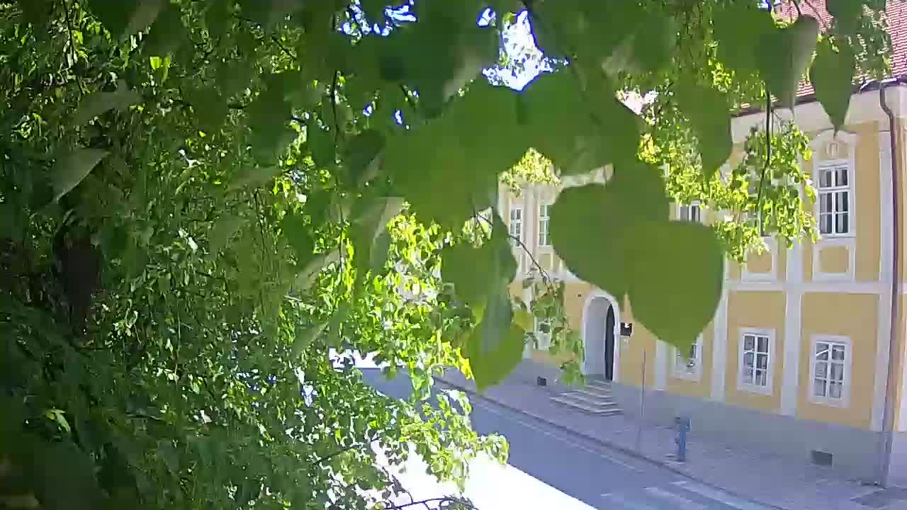 Spletna kamera v živo Petrinja centralni park – po potresu
