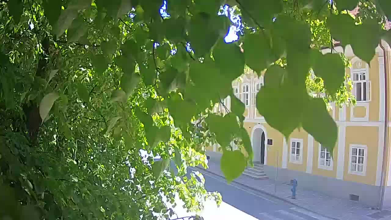 Live Webcam Petrinja Park – nach dem Erdbeben