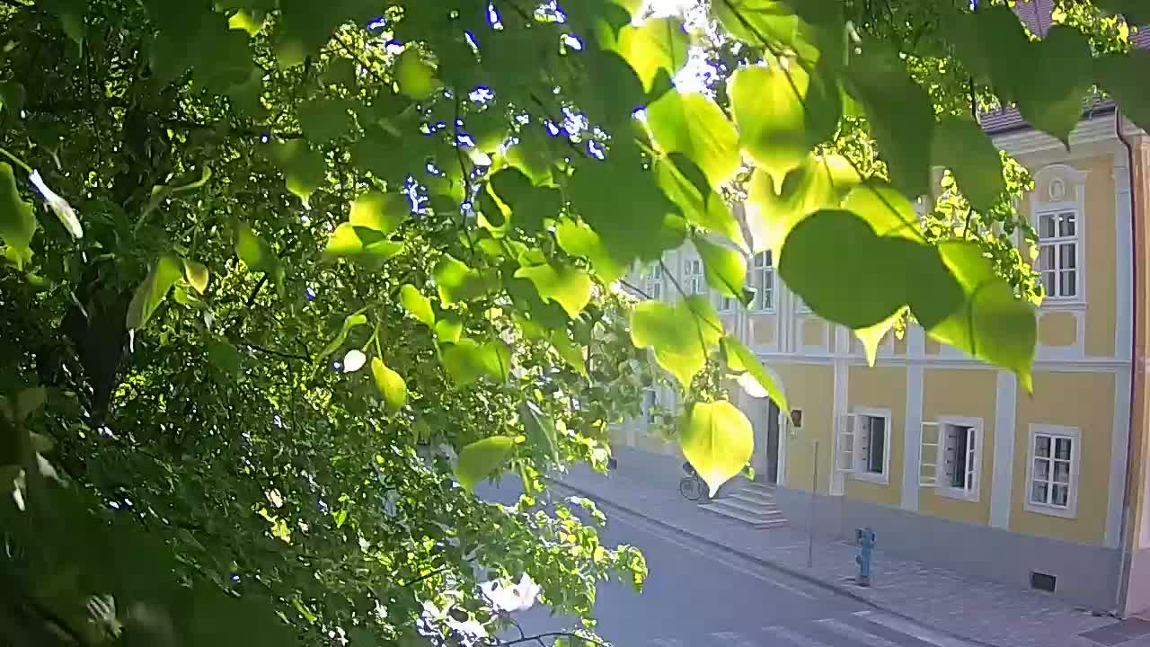 Web kamera uživo Petrinja centralni park – nakon potresa