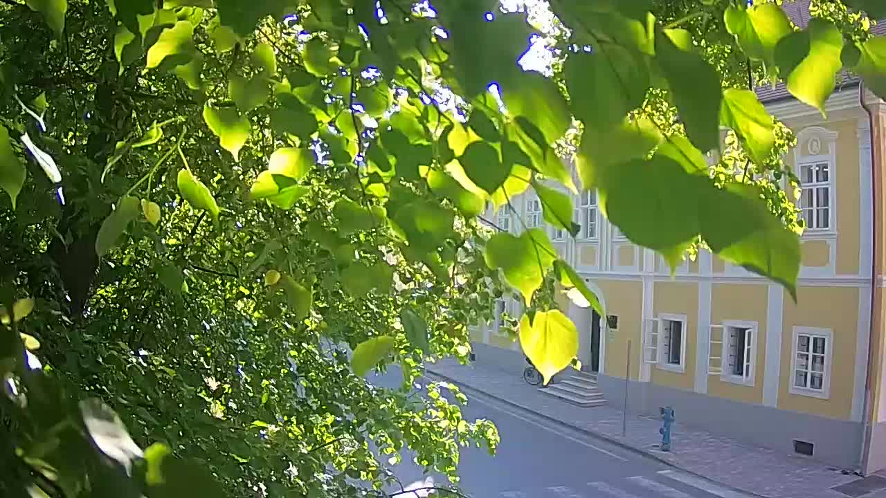 Live webcam parco Petrinja – dopo il terremoto