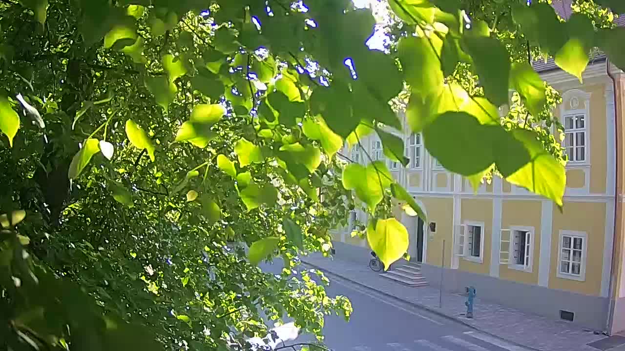 Live Webcam Petrinja Park – nach dem Erdbeben