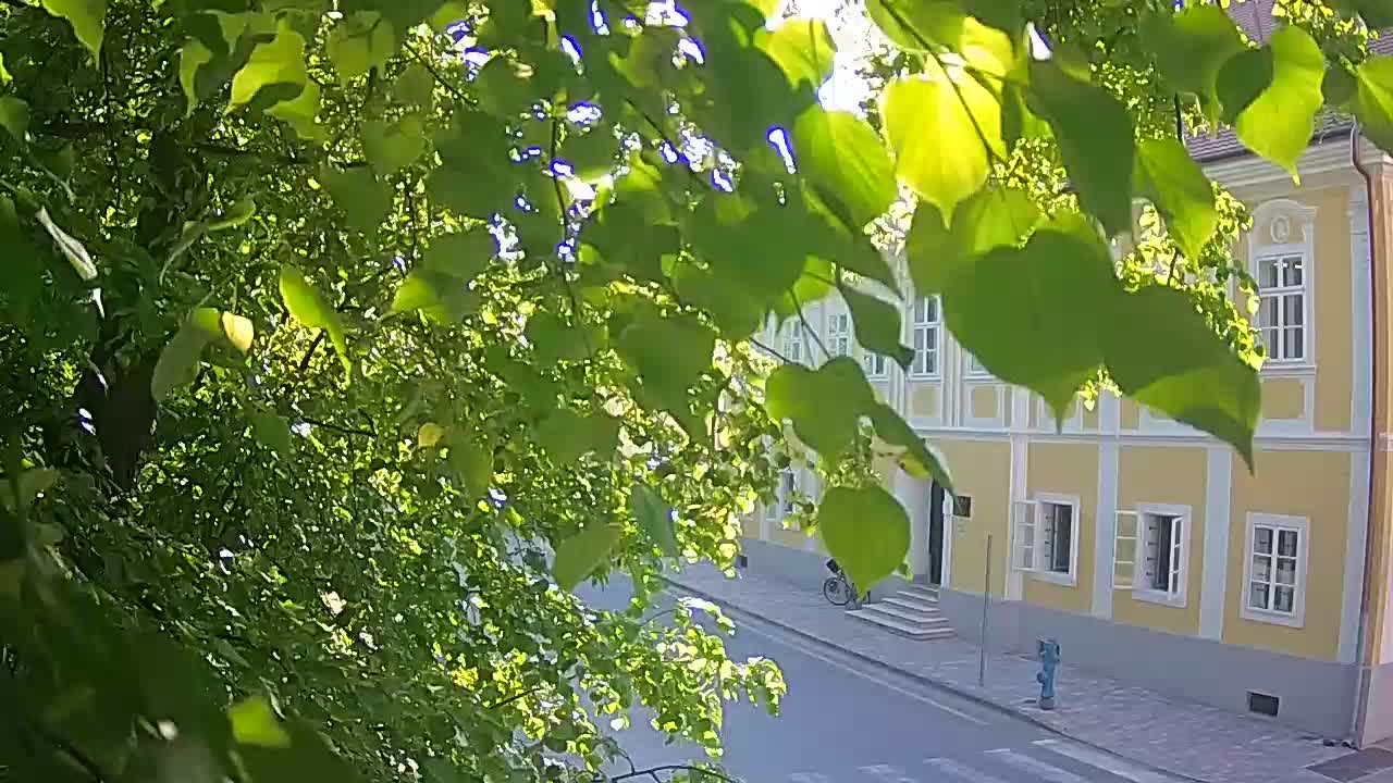 Live webcam parco Petrinja – dopo il terremoto