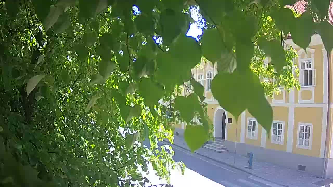 Live webcam parco Petrinja – dopo il terremoto