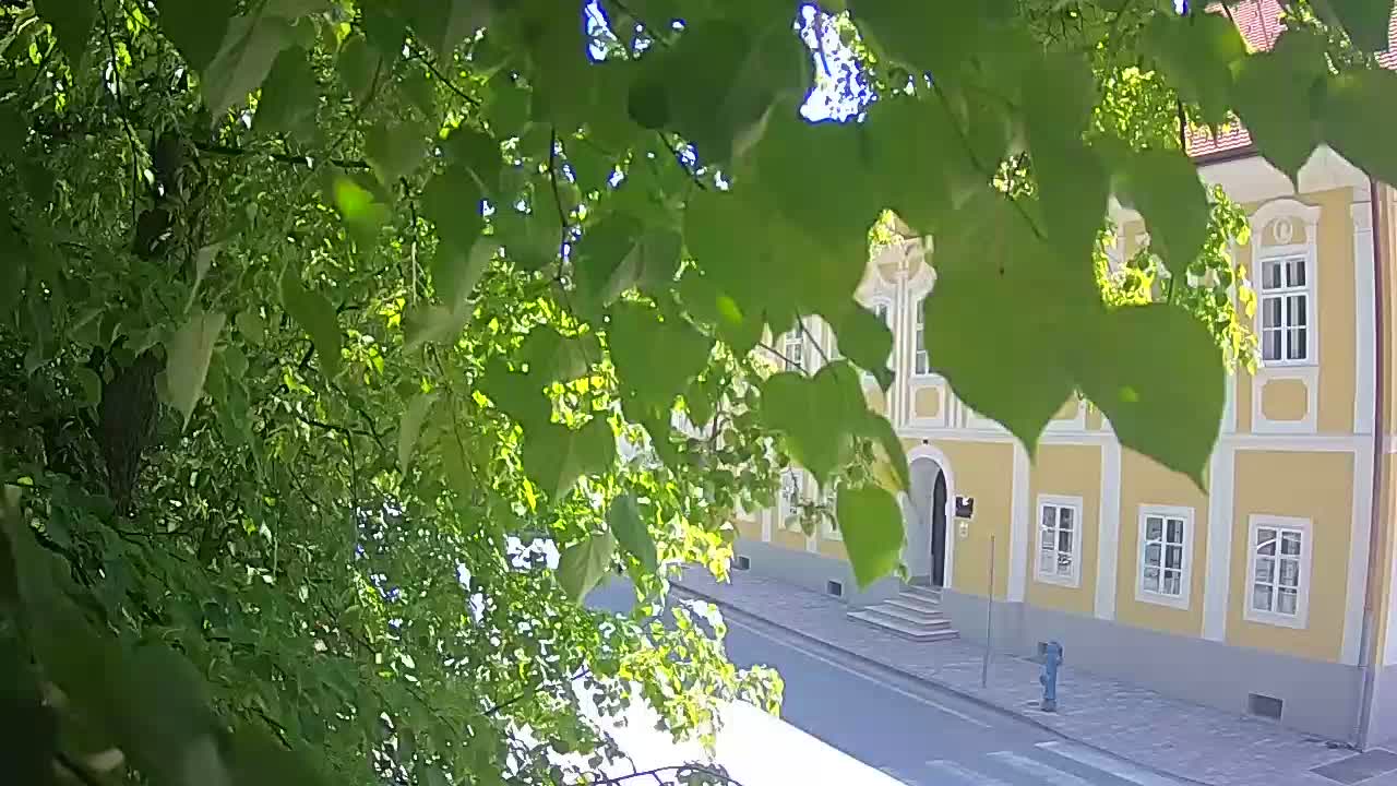 Webcam en vivo parque Petrinja – después del terremoto