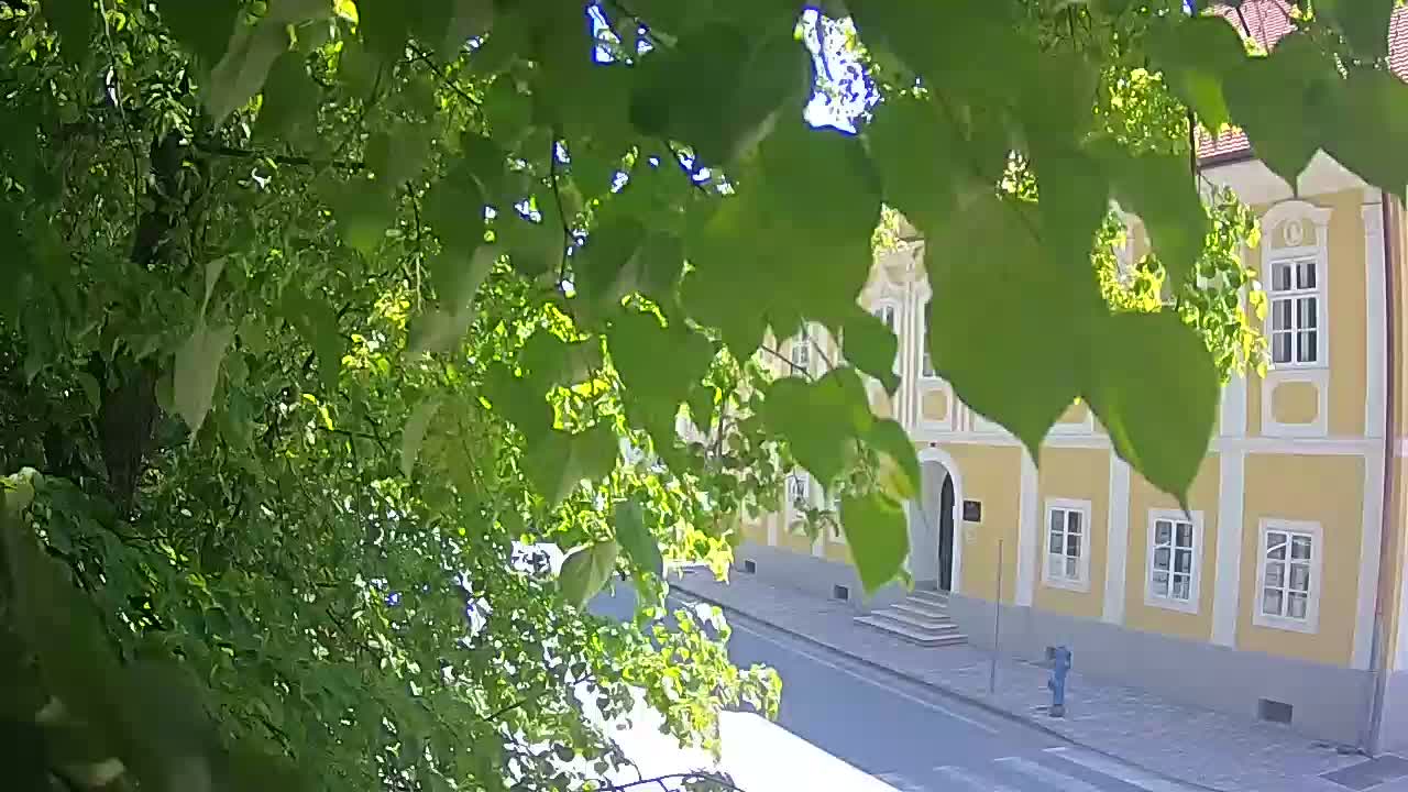 Webcam en direct du parc Petrinja – après le tremblement de terre