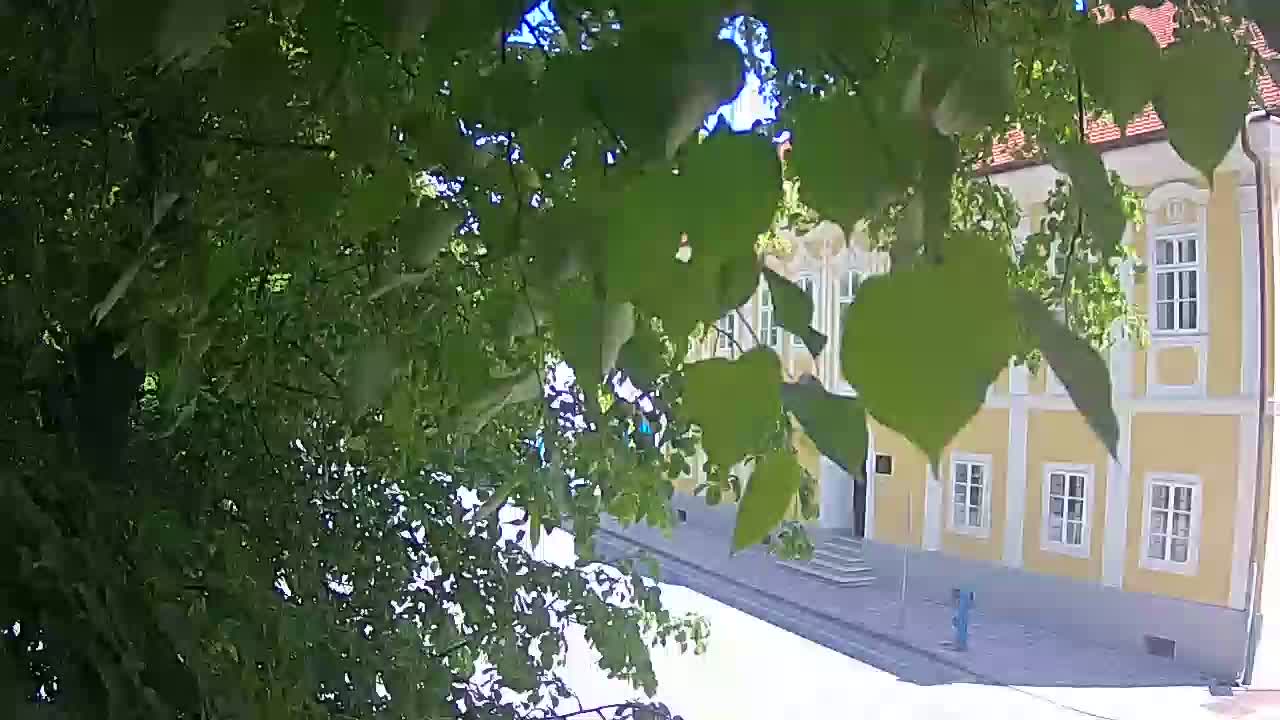 Live Webcam Petrinja Park – nach dem Erdbeben