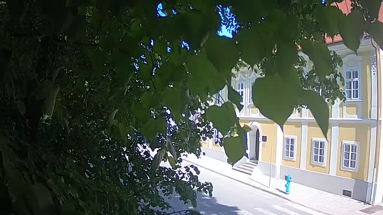 Webcam en direct du parc Petrinja – après le tremblement de terre