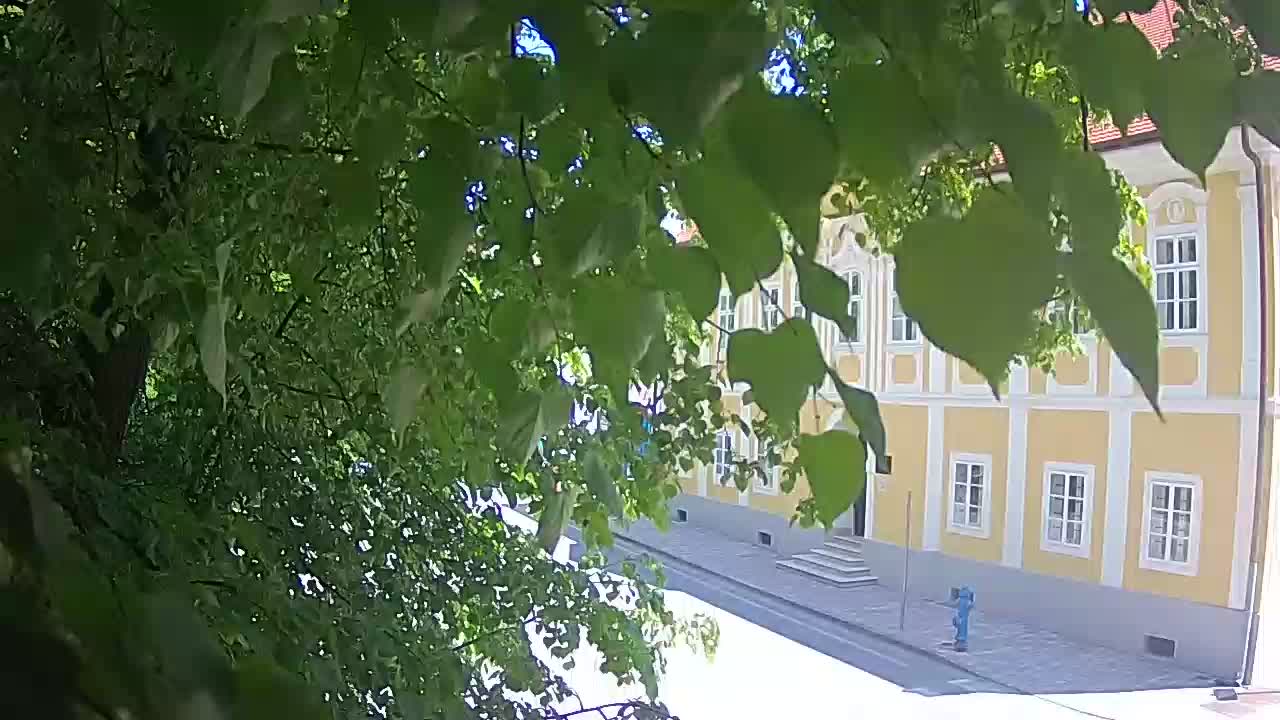 Spletna kamera v živo Petrinja centralni park – po potresu