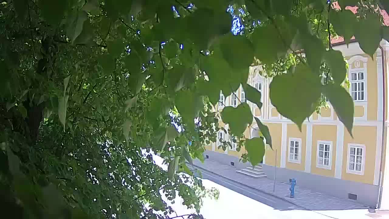 Webcam en direct du parc Petrinja – après le tremblement de terre