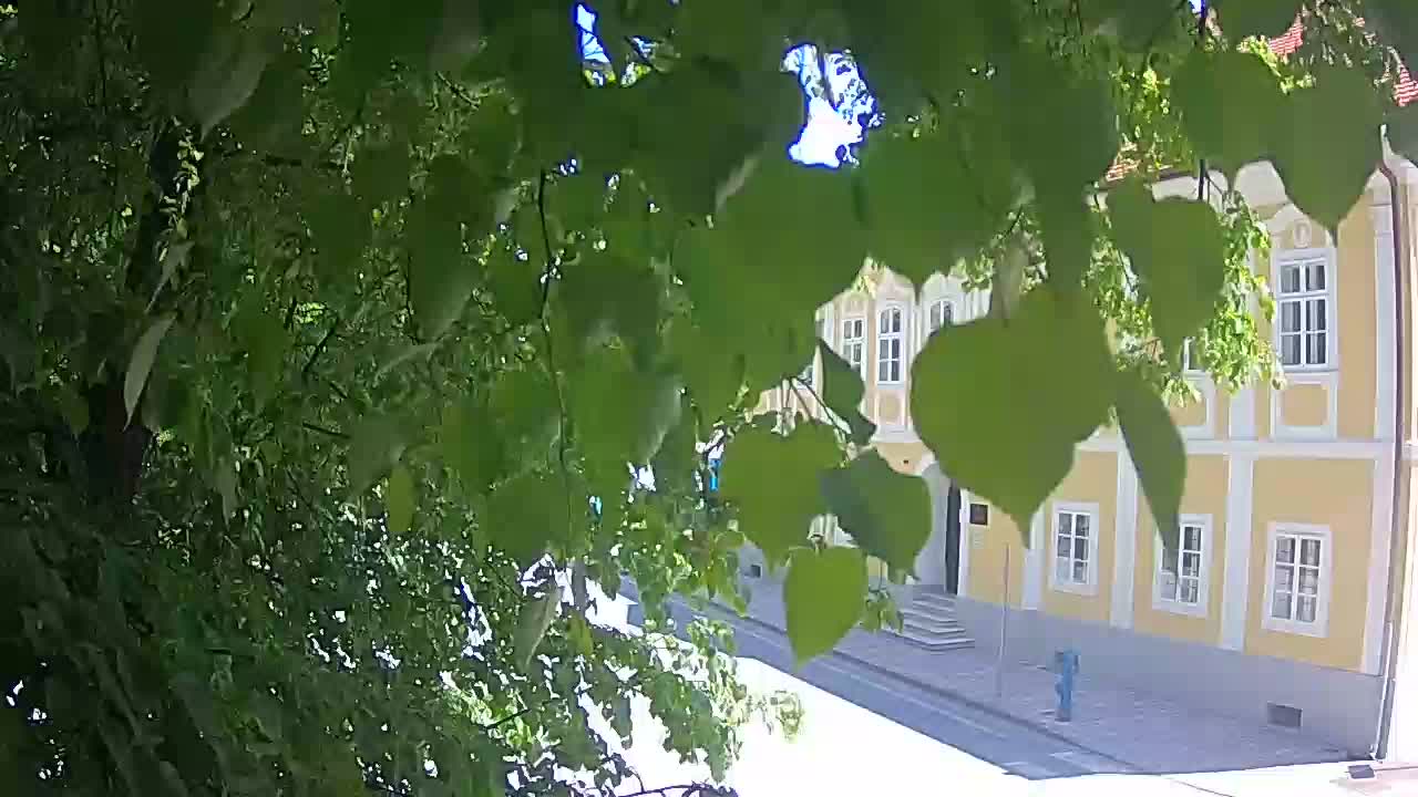 Webcam en direct du parc Petrinja – après le tremblement de terre