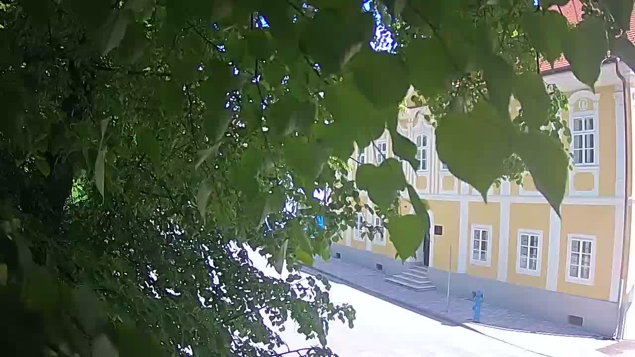 Web kamera uživo Petrinja centralni park – nakon potresa