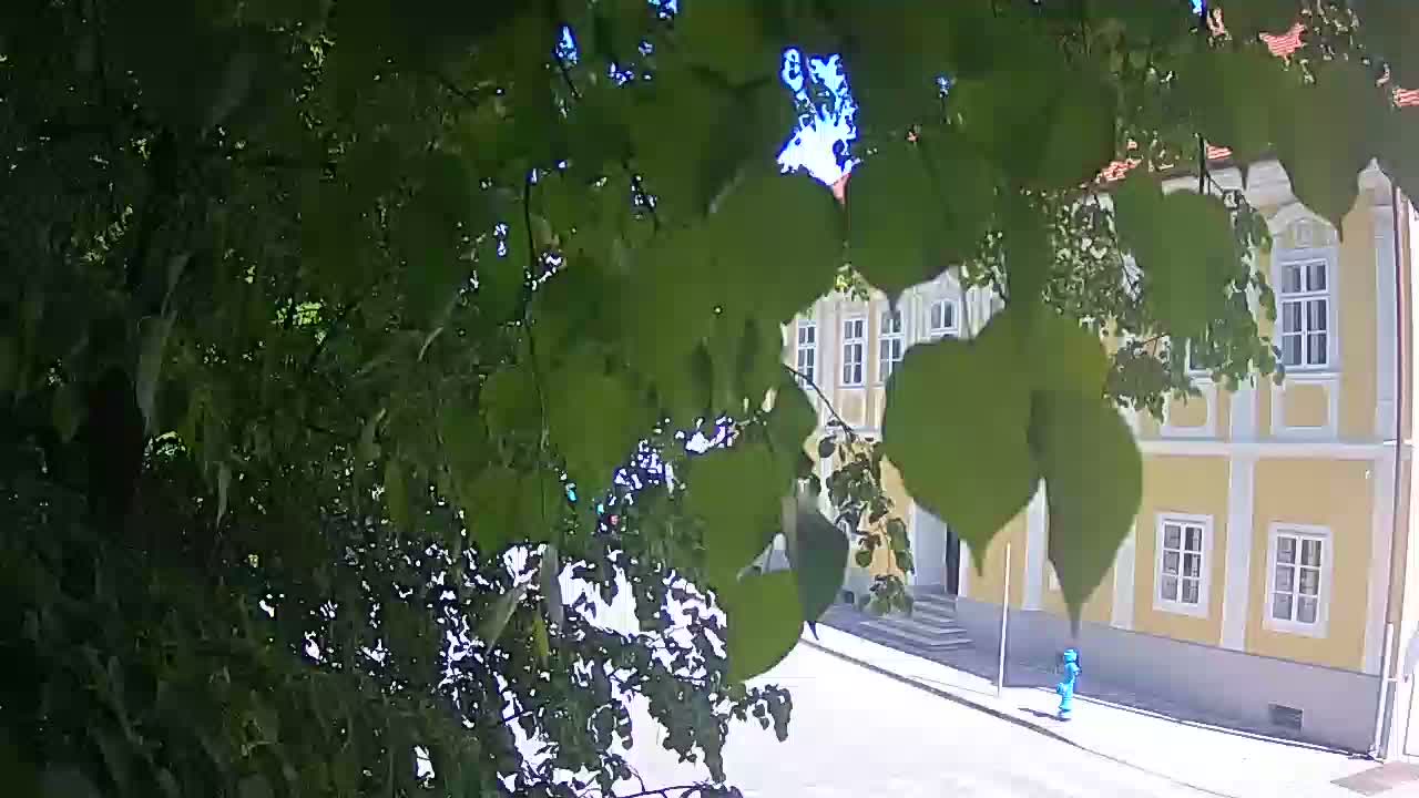 Webcam en vivo parque Petrinja – después del terremoto