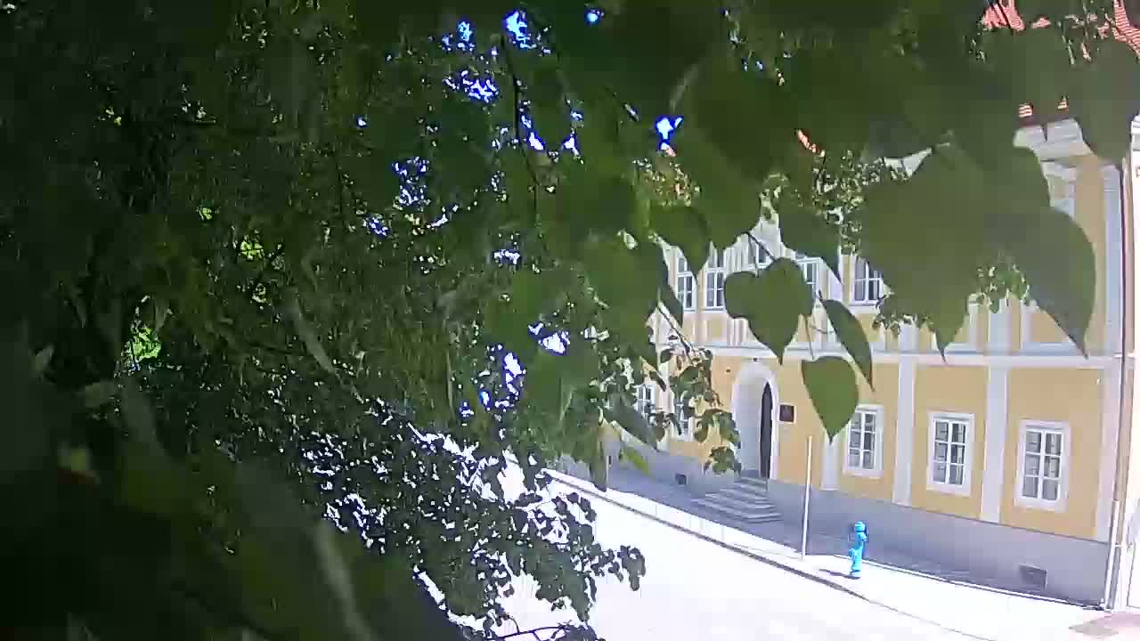 Webcam en vivo parque Petrinja – después del terremoto