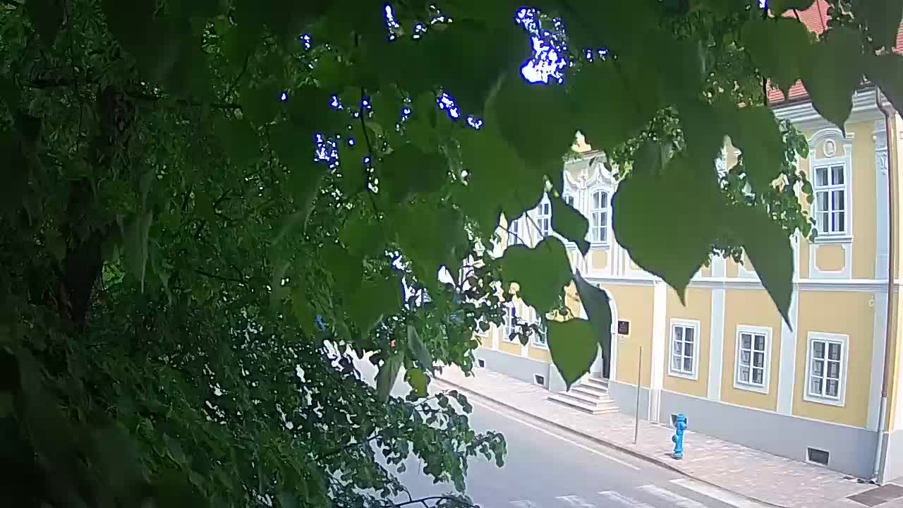 Spletna kamera v živo Petrinja centralni park – po potresu