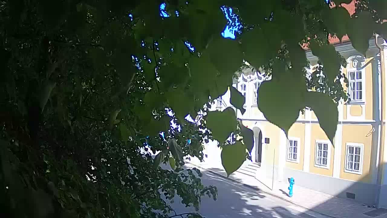 Live webcam Petrinja central park – after the earthquake