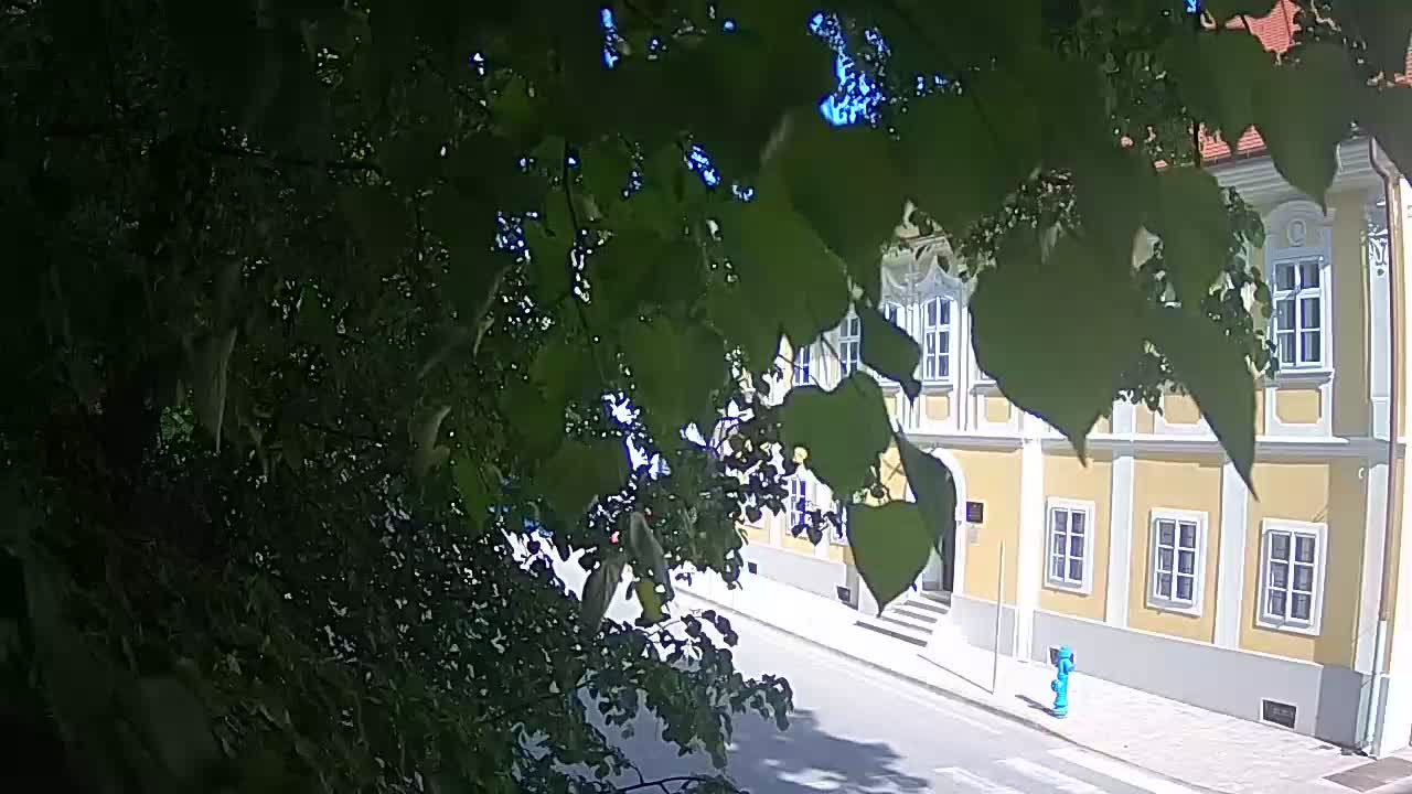 Live webcam parco Petrinja – dopo il terremoto
