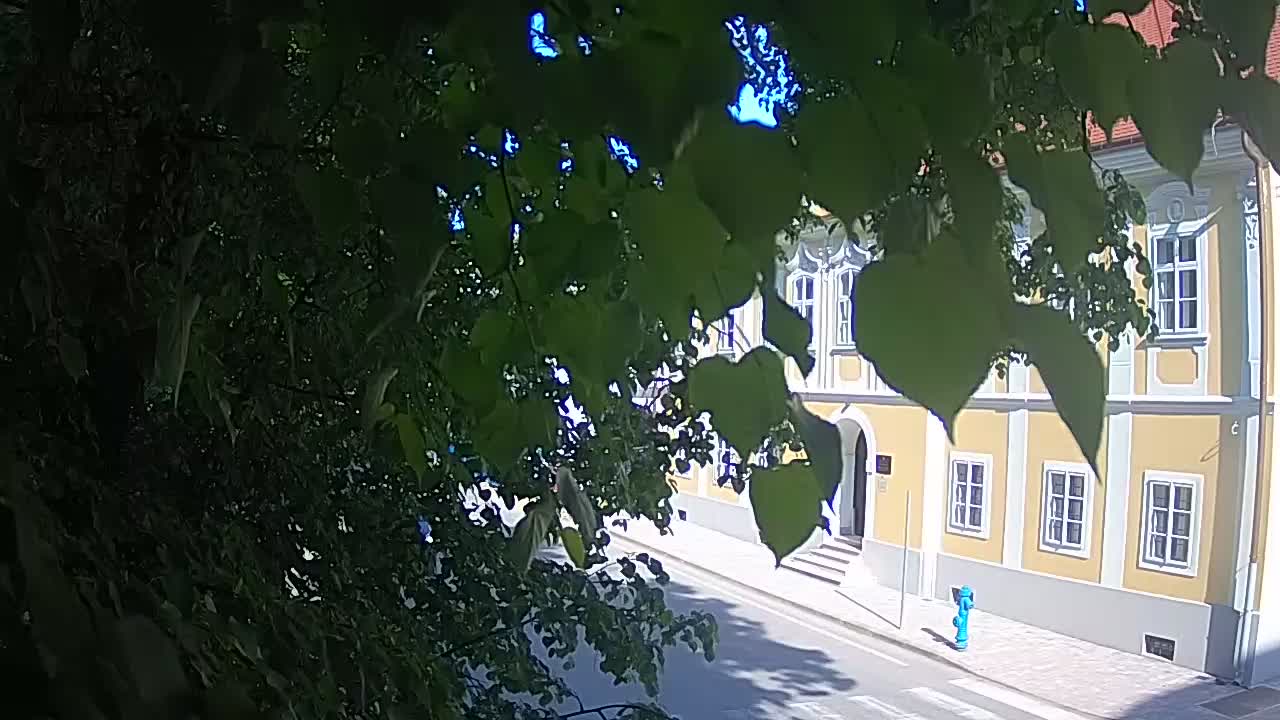 Live Webcam Petrinja Park – nach dem Erdbeben