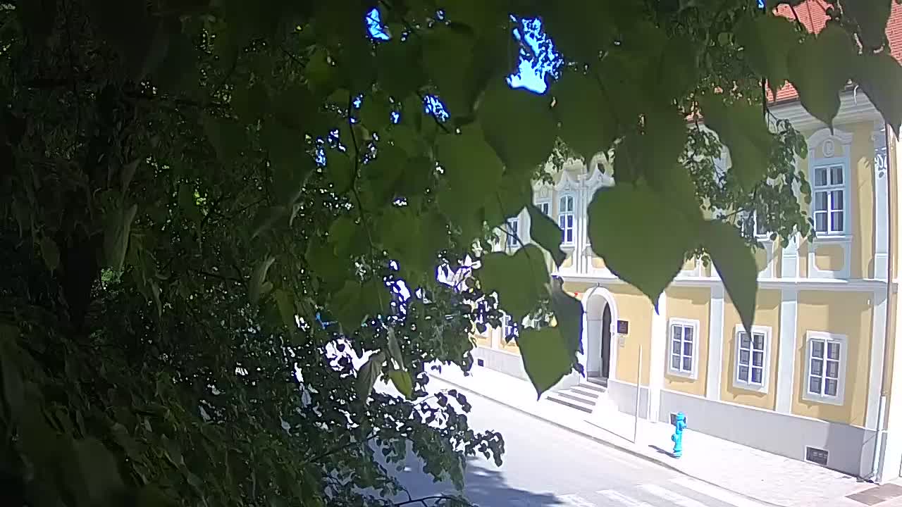 Spletna kamera v živo Petrinja centralni park – po potresu