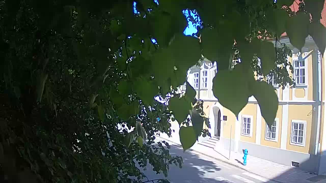 Spletna kamera v živo Petrinja centralni park – po potresu