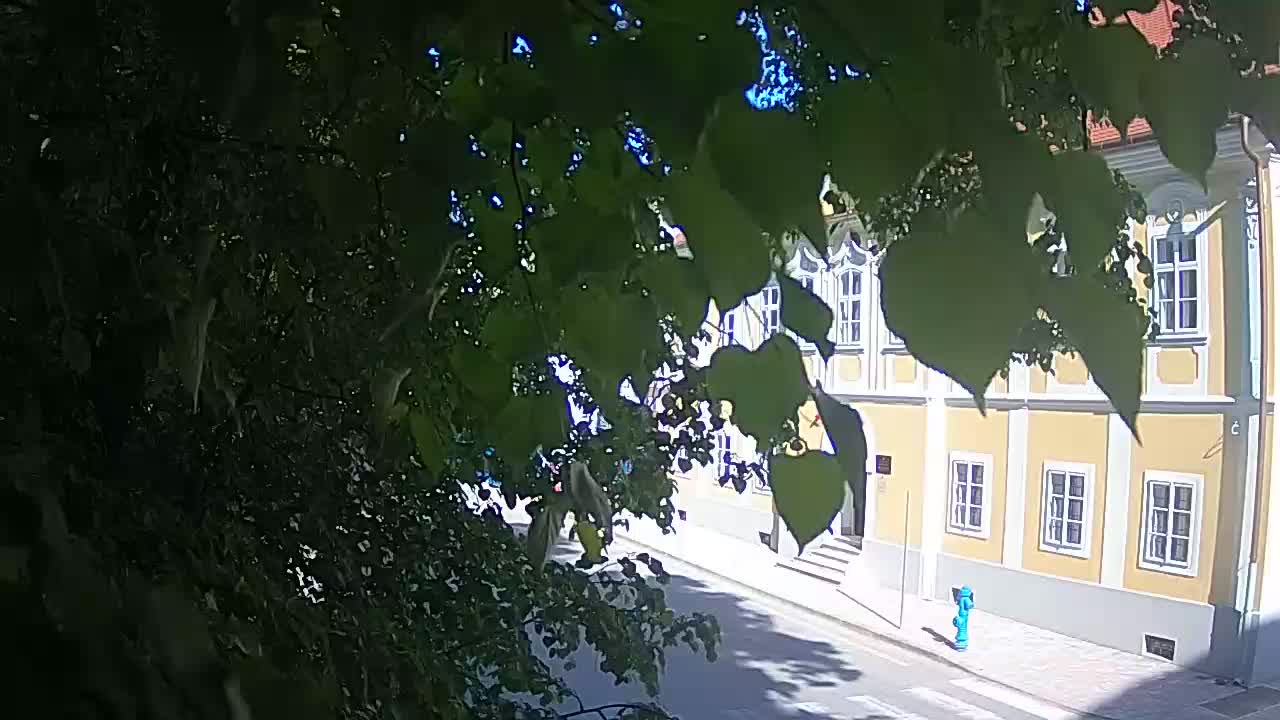 Live webcam parco Petrinja – dopo il terremoto