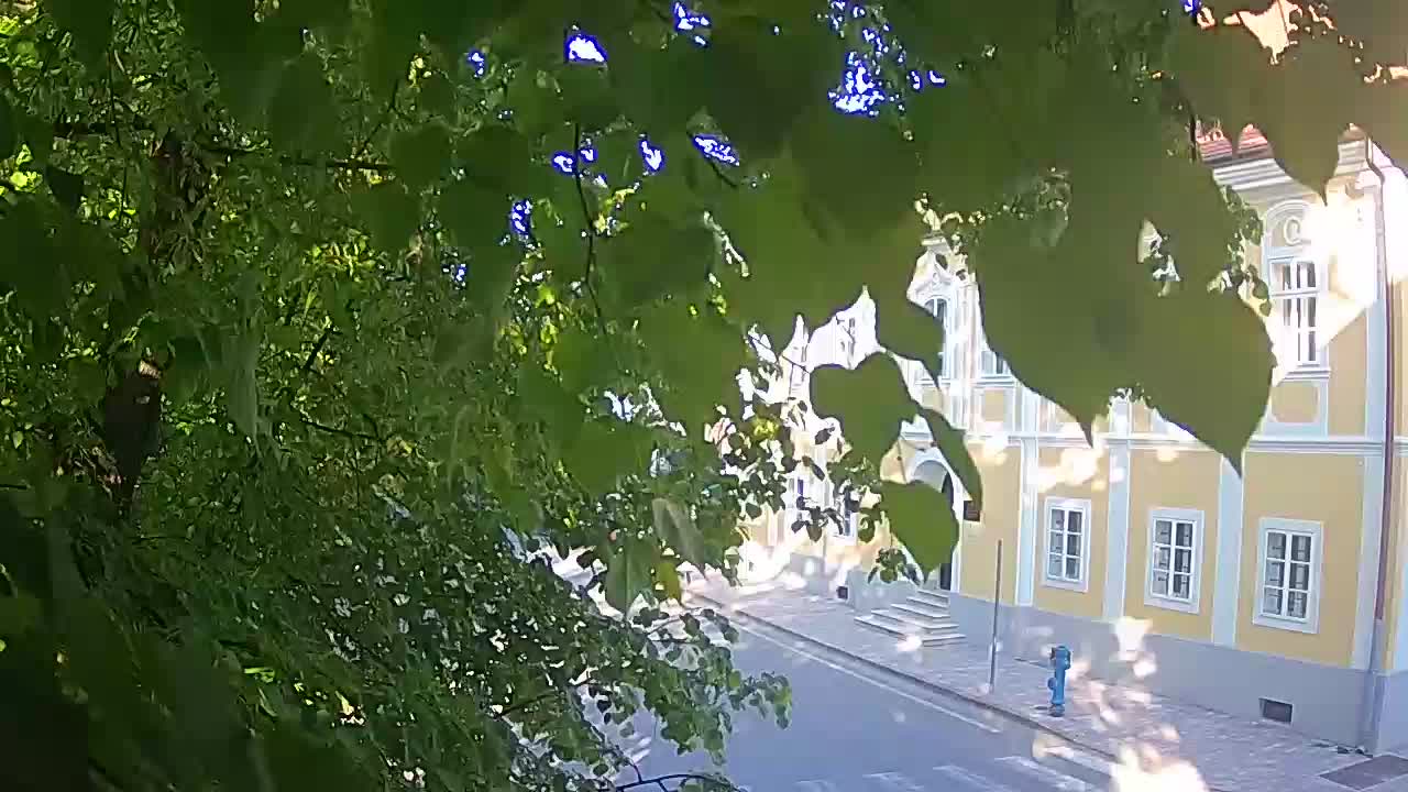 Web kamera uživo Petrinja centralni park – nakon potresa