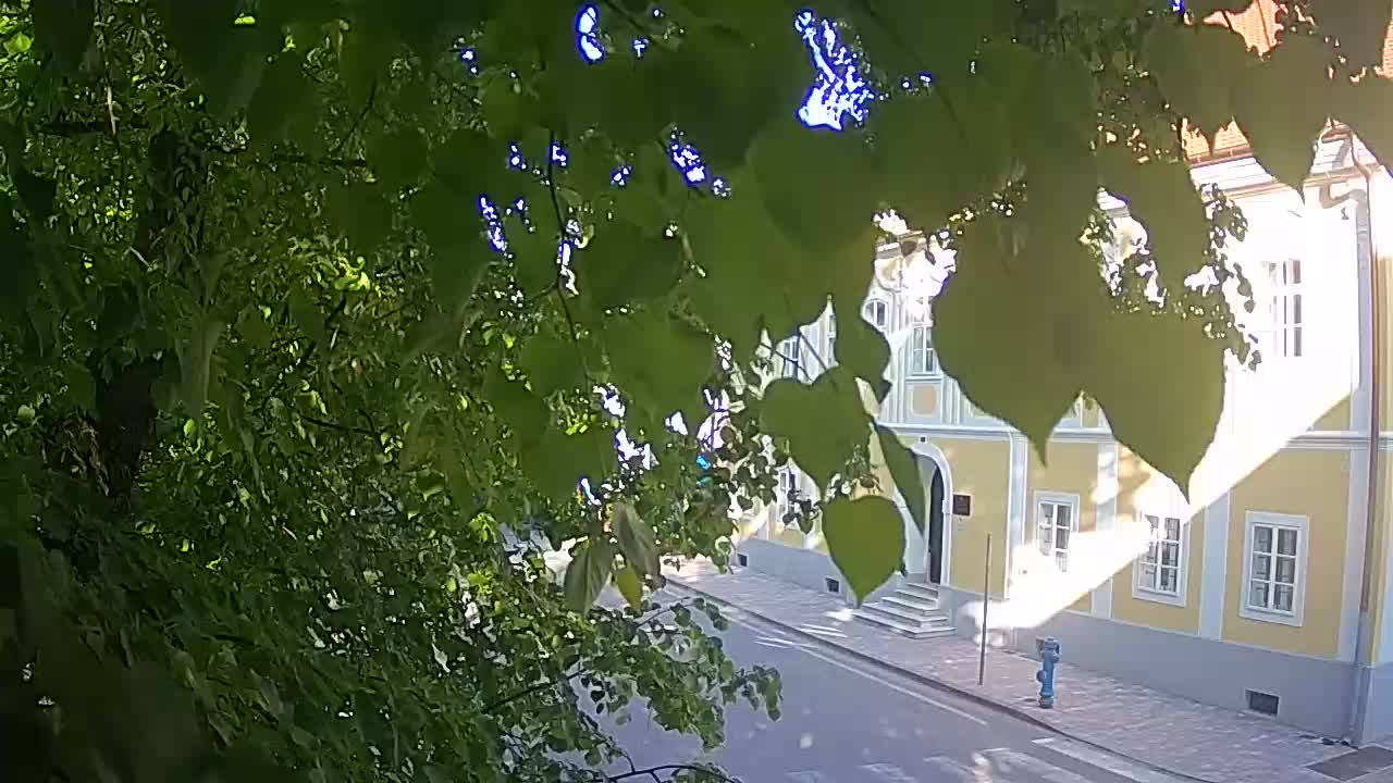 Live Webcam Petrinja Park – nach dem Erdbeben