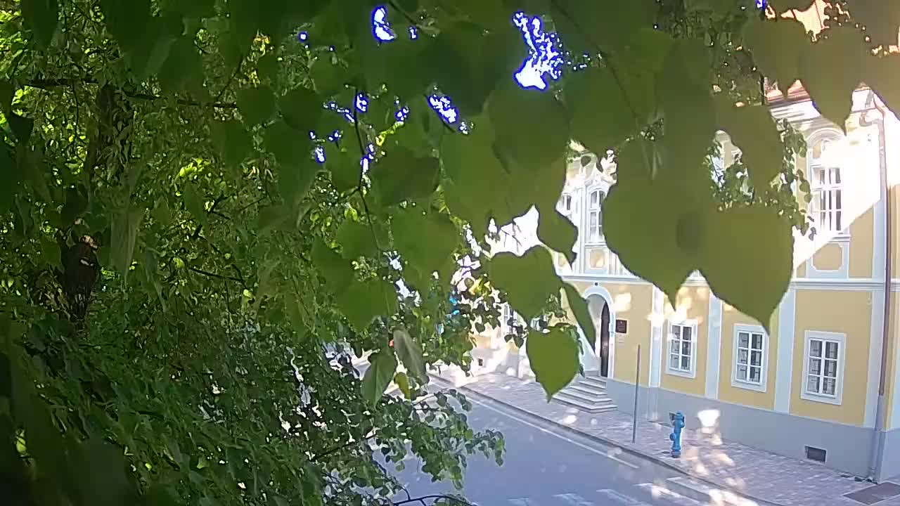 Webcam en vivo parque Petrinja – después del terremoto