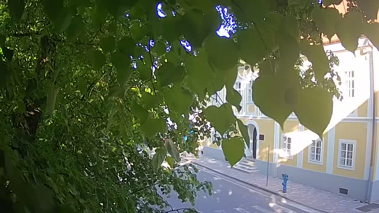 Webcam en vivo parque Petrinja – después del terremoto