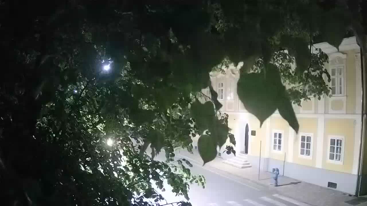 Webcam en vivo parque Petrinja – después del terremoto