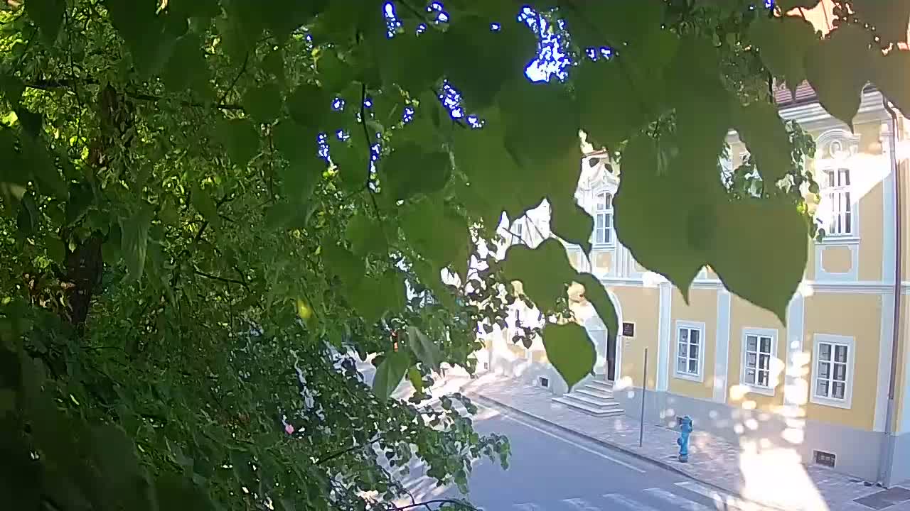 Webcam en direct du parc Petrinja – après le tremblement de terre