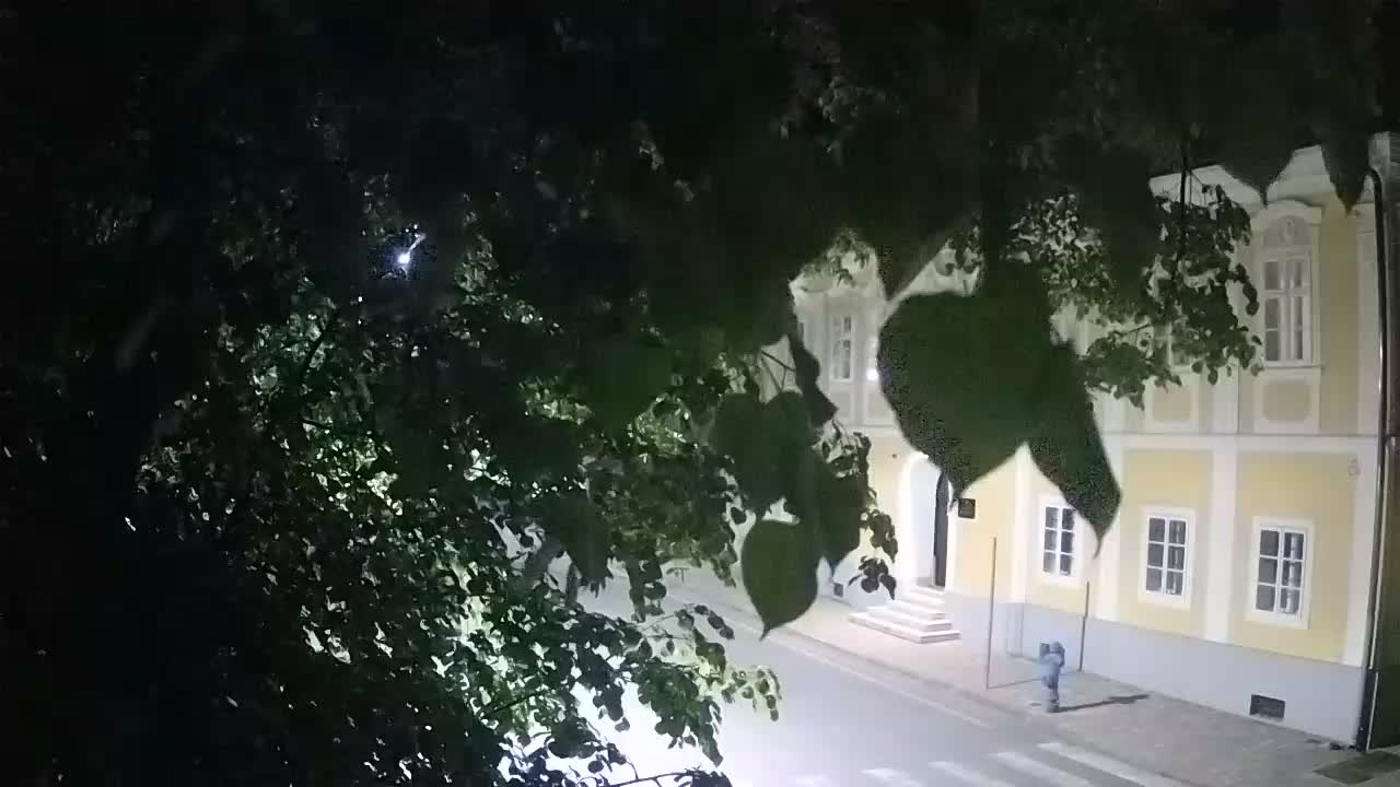 Live webcam Petrinja central park – after the earthquake